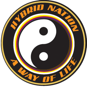Hybrid Nation Martial Arts logo