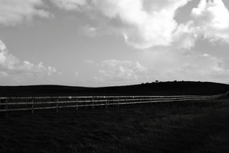 foto por Simone Guimars | Photo by Simone Guimars