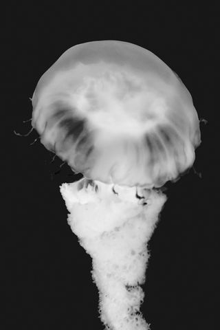 Foto por | Photo by Simone Guimars