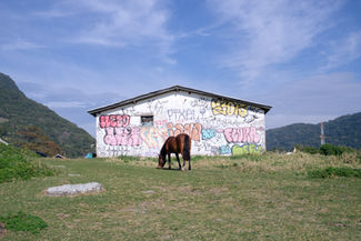 foto por Simone Guimars | Photo by Simone Guimars