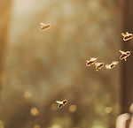 istockphoto-1358129924-2048x2048.jpg