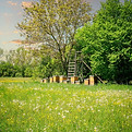 beekeeping-7208005_1280.jpg
