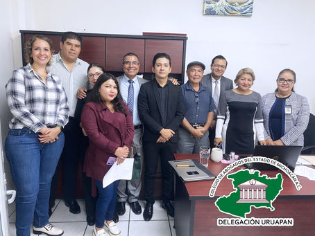 Visita de Consejo.