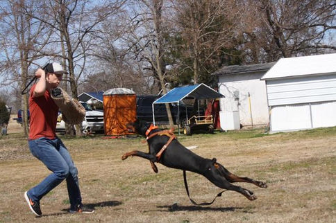 88163907_1934805656662947_7470786481120870400_n.jpg__nc_cat=109&ccb=1-5&_nc_sid=b9115d&_nc