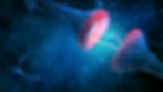 nerve