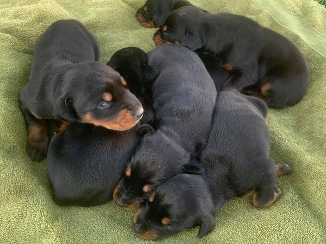 109757087_2845058639113784_4861941313161430442_n.jpg__nc_cat=108&ccb=1-5&_nc_sid=b9115d&_n