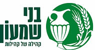 לוגו מועצה אזורית בני שמעון