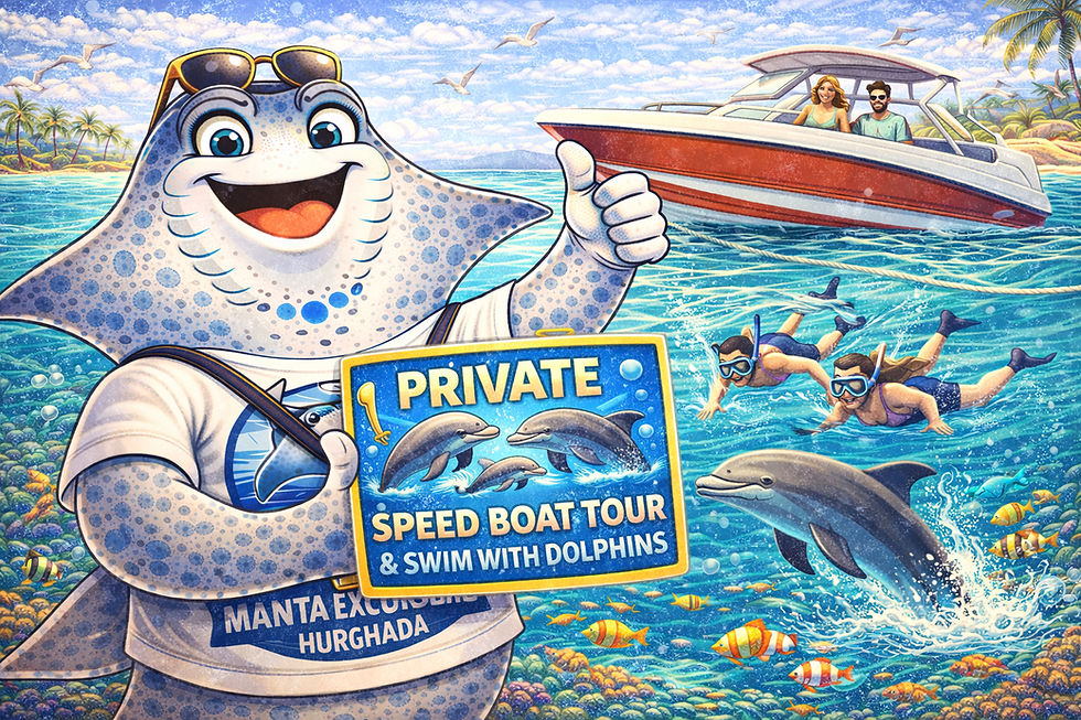 Private Speed Boat - Dolphin House - €90