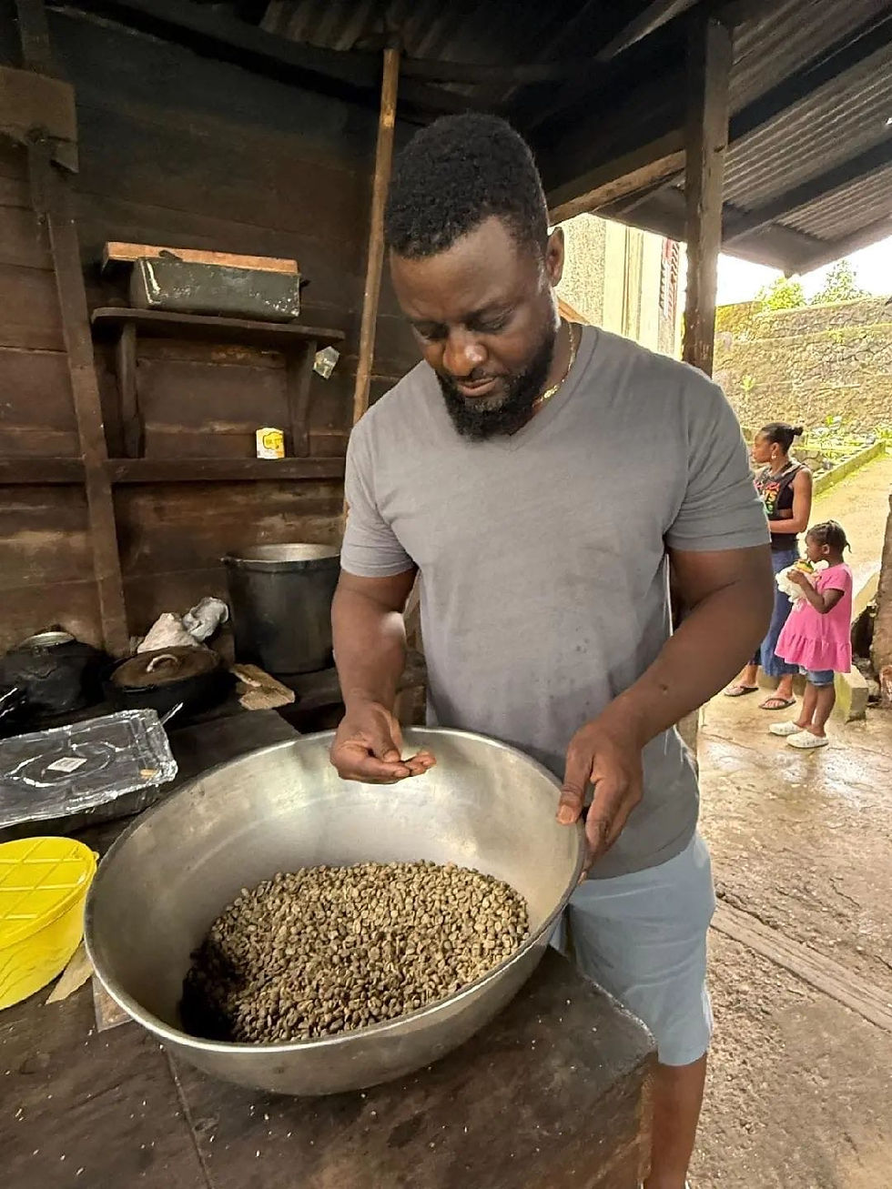 Sei sifting through Jamaican Blue Mountain beans