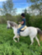 Someone on the back of a horse riding it - the horse is white