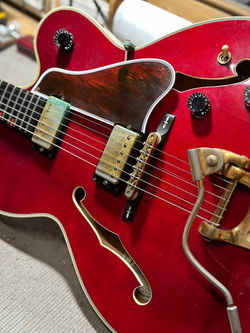 Custom pickguard