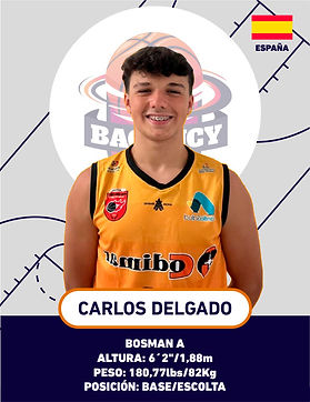 CARLOS DELGADO FONDO.jpg