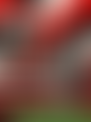 Sheffield United – Bramall Lane