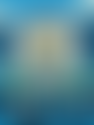 Manchester City – Academy Stadium