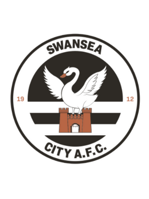 Swansea City – Liberty Stadium