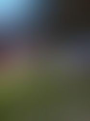 Worsborough Bridge Athletic – Park Lane (Revisited)