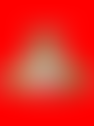 Doncaster Rovers – Belle Vue (Lost Ground)