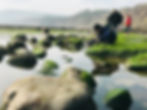 Hunting for Crabs