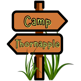 Camp Thornapple Logo (2).png