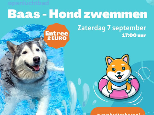 Baas-Hond zwemmen 2025