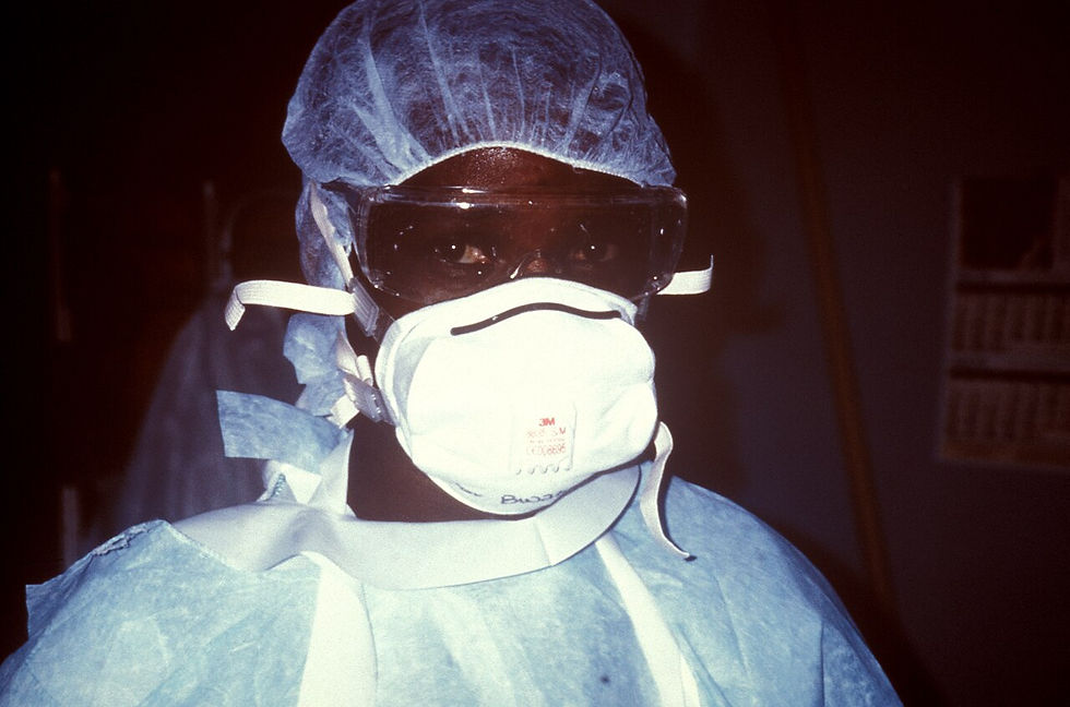 I gatti dell’Ebola: leggende e cospirazionismo nelle epidemie del Congo