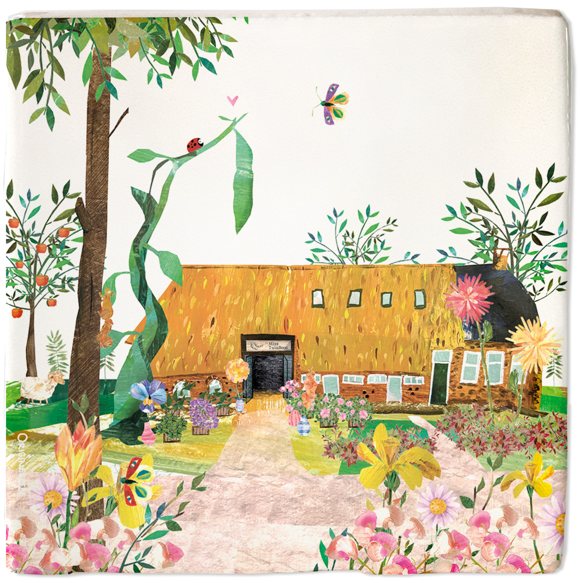 Miss Tuinboon | Gees