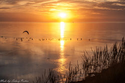 Zonsondergang bij Harlingen