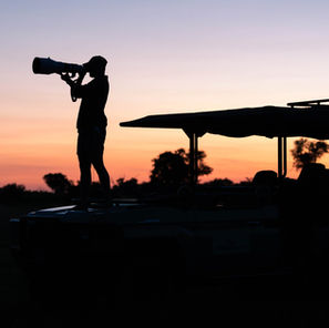 Sports 300-600mmF4.0 en safari au Botswana