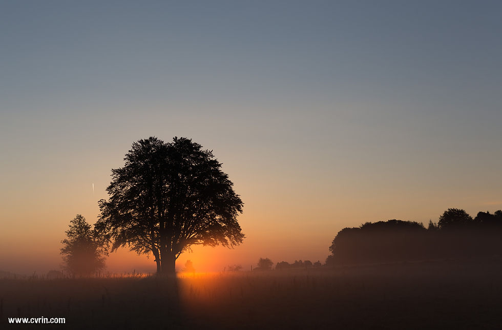 Tourne_brume_310816_0026.jpg