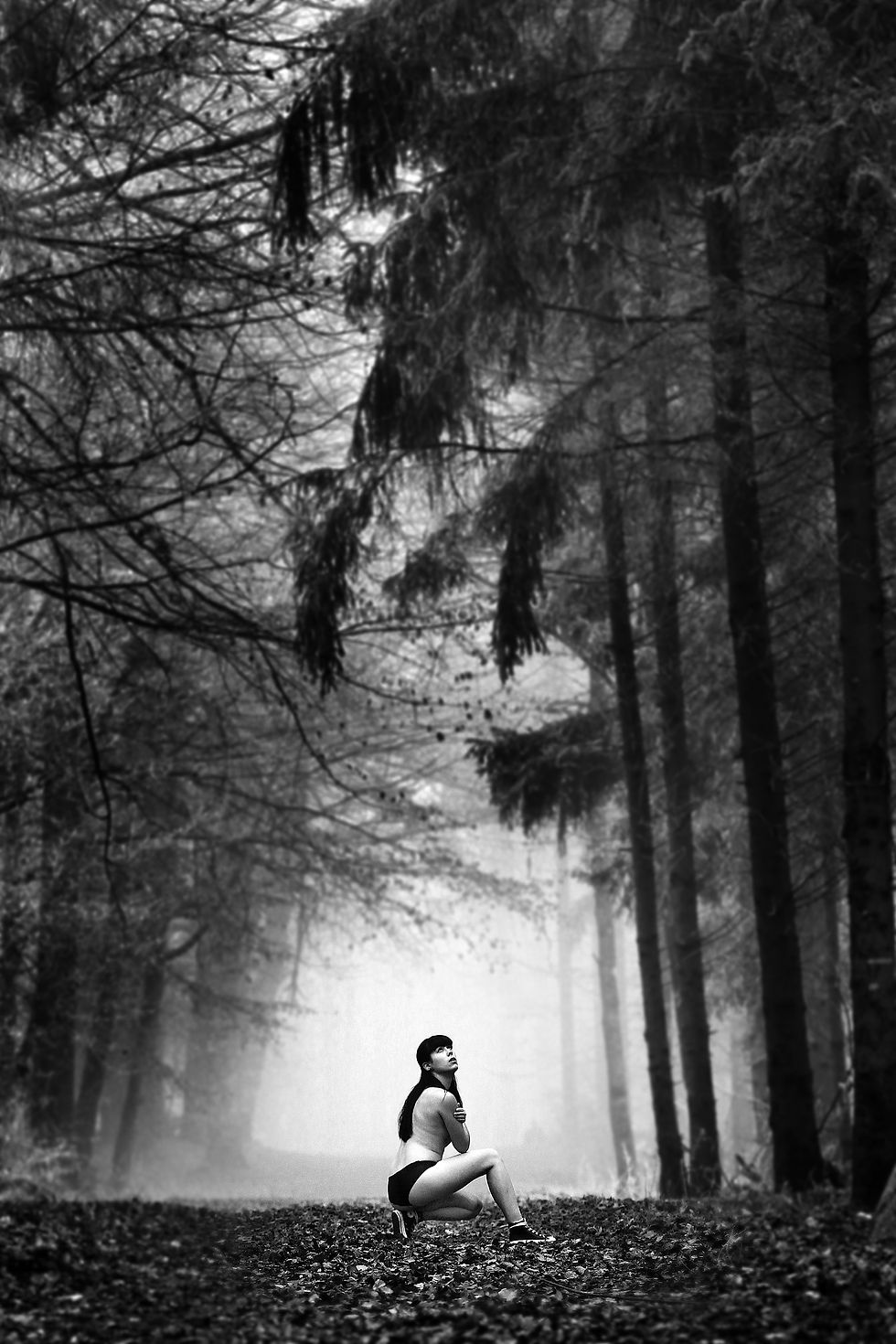 BW_Od (111)