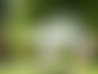 Le nouveau 28-105mm F2.8 DG DN | ART