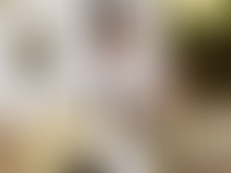 Why The Wedding & Wine Expo Is a Must for Every Bride?