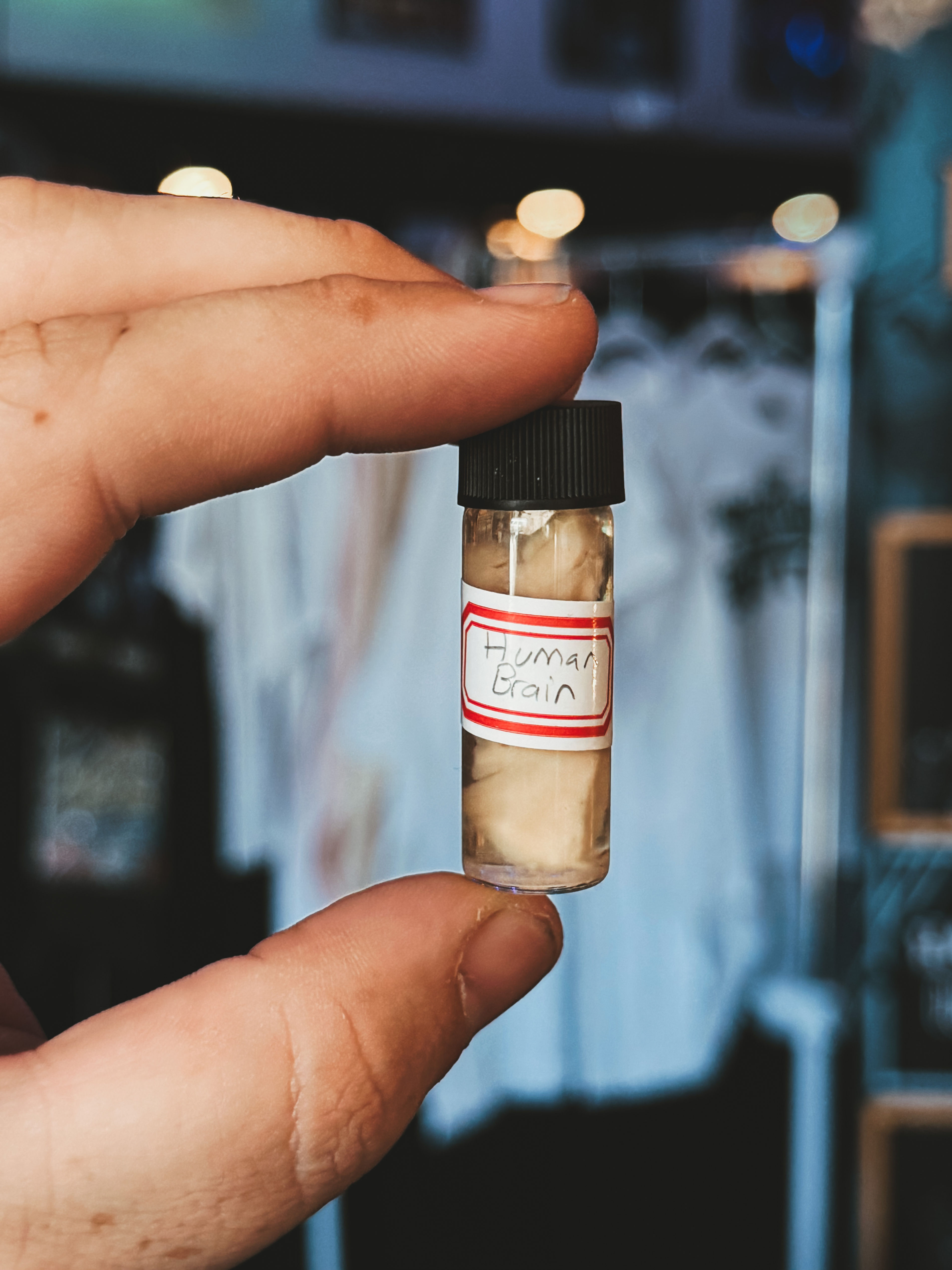 Real Human Brain Piece in Vial