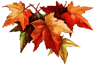 Un automne actif