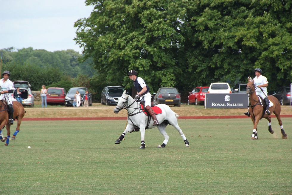 Polo 2010 (355).jpg