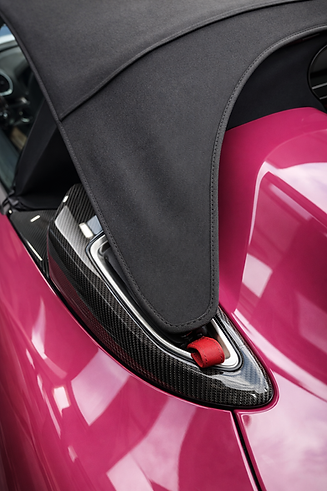 Magenta Sportwagen und Carbonfaser-Details.png