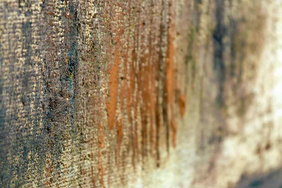 Miniaturbild: No. 1314_El Capitan 2022, 120x100x2 cm (47.24x39.37x0.79 in)