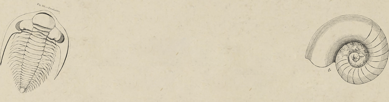 Banner 1.png