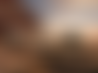 A Guide To Naples' Restaurants