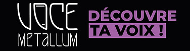 logo voce + découvre ta voix.jpg