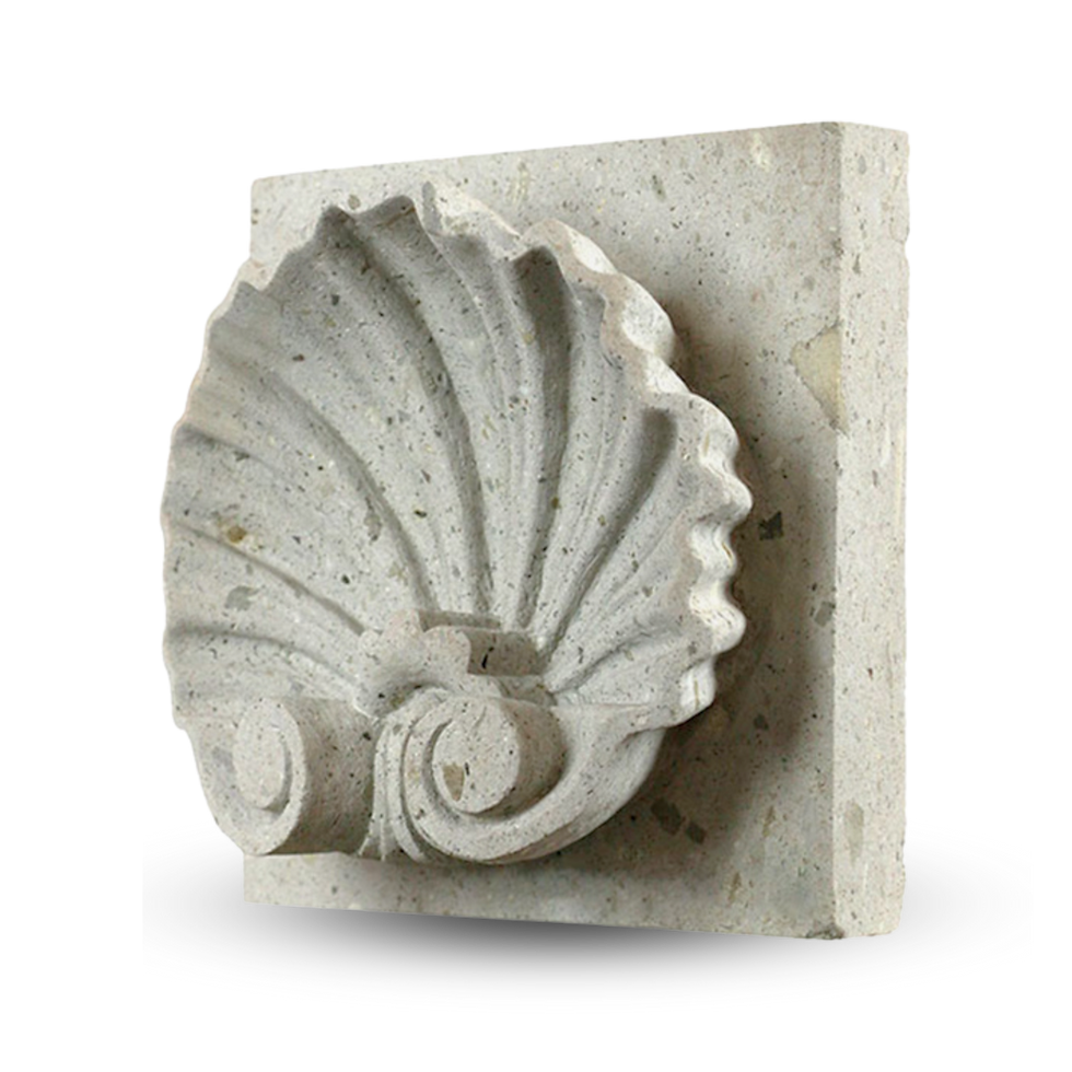 Clave de concha detallada, blanco mexicano.png