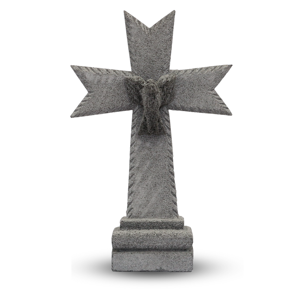 Crucecita de recinto con paloma.png