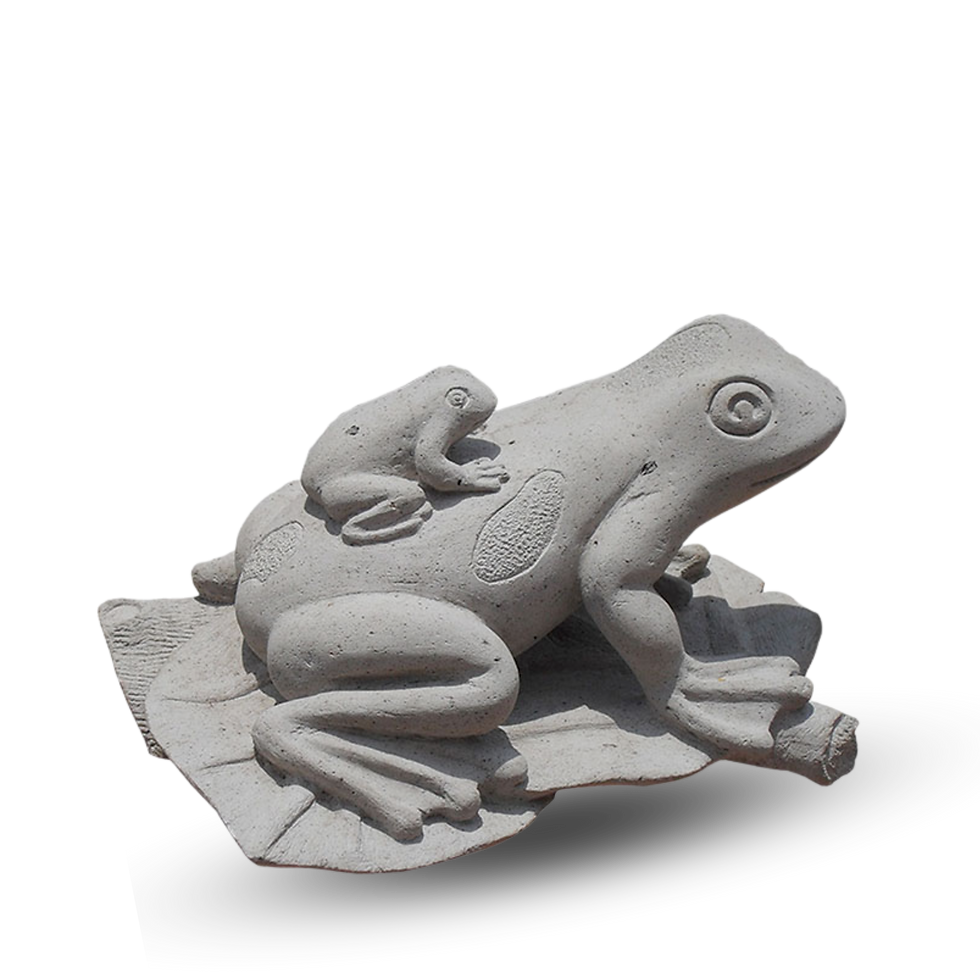 Ranas de cantera gris