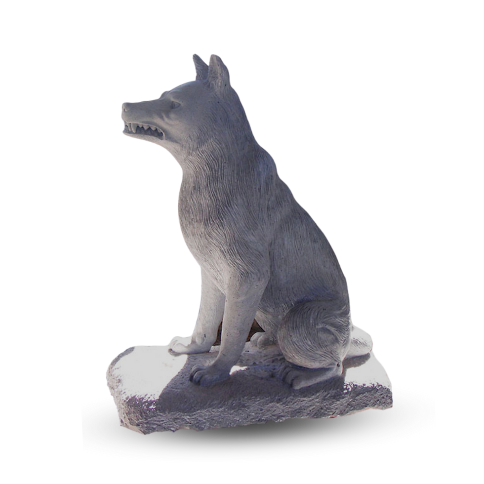 Lobo de cantera gris