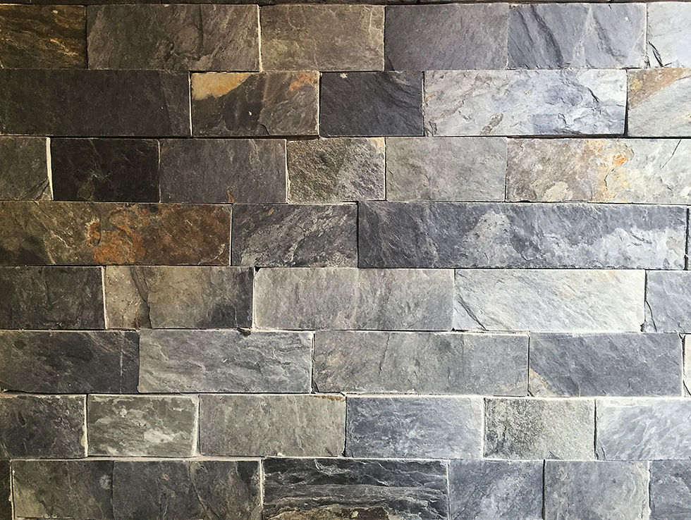 Cintilla laja mestiza negra.jpg