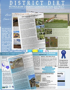 newsletter cover pic.jpg