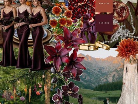 Color Palettes to Use in 2026