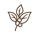 ChatGPT Image 3 set 2026, 16_37_20.png