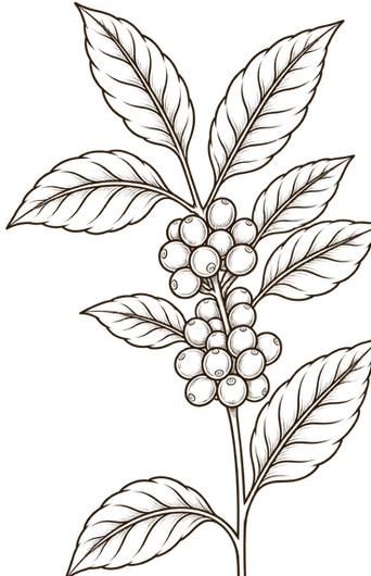 ChatGPT Image 3 set 2026, 17_05_07.png