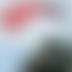 Futures fallen – Ölkrise hält an, Pentagon prüft 10.000 weitere Bodentruppen